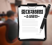 중대재해법 정부안 국회 제출.."기업 규모에 따라 법 적용 유예"