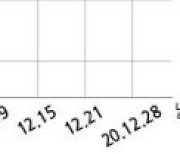 대한전선 단기차입금 4636억원 증가