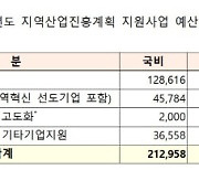 48개 지역주력산업 키워 '지역균형 뉴딜' 선도한다