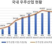 우주기업 늘어도 매출은 2년 연속 역성장