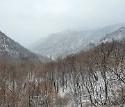 멈췄던'설악산 케이블카' 탄력받나..환경부 대신 양양군 손 들어준 권익위