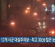 익산 등 12개 시군 대설주의보..최고 30cm 많은 눈