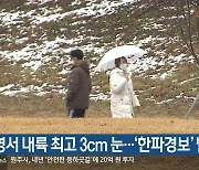 영서 내륙 최고 3cm 눈..'한파경보' 발효