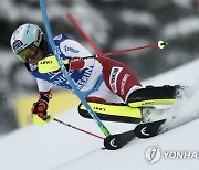 Austria Alpine Skiing World Cup