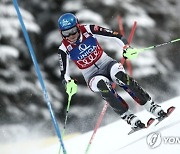 Austria Alpine Skiing World Cup