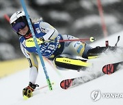 Austria Alpine Skiing World Cup