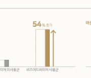 네이버 "비즈어드바이저로 최대 54% 매출 증대 효과"