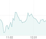 [강세 토픽] 수소전기차 - 연료전지 테마, 평화홀딩스 +16.35%, 평화산업 +15.86%