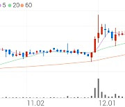 디지탈옵틱, +5.21% 상승폭 확대