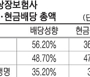 고배당 상장 보험사들, 당국 자제권고에 고민