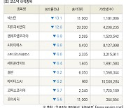 [fnRASSI]장마감, 코스닥 하락 종목(넥스턴 -13.1% ↓)