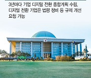 기업 손발 묶어둔채 보완입법 해 넘긴다