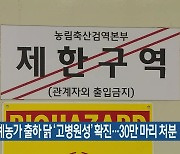 논산 육계농가 출하 닭 '고병원성' 확진..30만 마리 처분