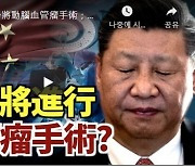 "뇌동맥류로 입원 수술 계획" 시진핑 건강이상설 유튜브·트위터 등 확산