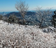 부산 첫눈 풍경