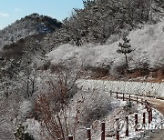 부산 산간지역에 쌓인 눈