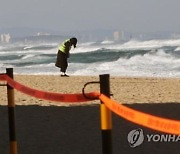 강릉시 도깨비 촬영지·동네 해맞이 명소까지 폐쇄