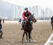 2021년 카운트다운에 맞춰 돌아본 2020 한국경마