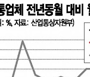 [생존기로에선 유통가]백화점·마트 溫라인..오프라인 역신장에도 겨우 버텼다