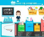 올해 소비자물가 상승률 0.5%.. 농축수산물 9%↑ (종합)