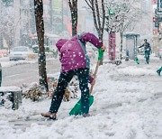 새해 첫날 강추위..제주·충청·전북은 눈 내려