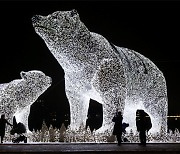 커다랗게 빛나는 곰.. 러시아 성탄 조형물