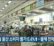 12월 울산 소비자 물가 0.4%↑..올해 전체 0.3%↑