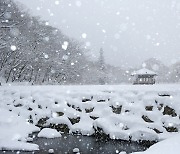정읍 내장산, 눈부신 설경에 '감탄 또 감탄'
