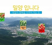 '농업현장 변화와 혁신 새바람'..밀양시, 새해 농업기술 명장 선정