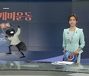 [그래픽 뉴스] 동학개미운동