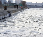 한강 얼음 둥둥