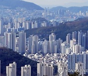 부산 29주 연속 아파트 가격 상승..'풍선효과' 기장군 급등