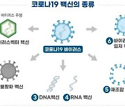 식약처, SK바이오사이언스 코로나19 백신 임상 1·2상 승인