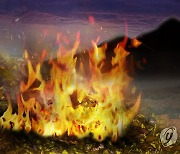 양평 옥천면 야산서 화재..의용소방대원 1명 사망