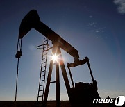 [원유마감] WTI 0.3% 상승..국제유가 연간 20% 하락