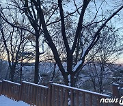 [오늘의 날씨]대전·충남(1일, 금)..새해 첫날 1~3cm 눈