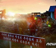 북한 "나라의 쌀독을 책임"..농작물 생산에 총력