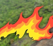 양평 야산서 화재..의용소방대원 1명 사망
