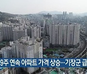 부산 29주 연속 아파트 가격 상승..기장군 급등