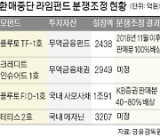 라임펀드 투자자, 원금 80%까지 돌려받는다