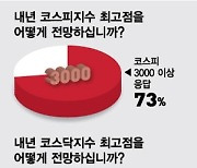 [새해증시]'코스피 3000-코스닥1000' 올해 상반기 돌파한다