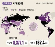 [그래픽] 코로나19 세계 현황