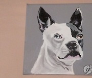 Chewy Pet Paintings