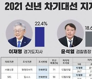 "차기 대통령 이재명"..10개 기관중 8곳서 '1위'