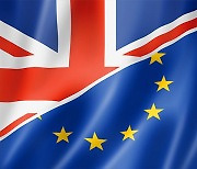 남아공, EU 떠난 영국과 새 무역협정 속 교역