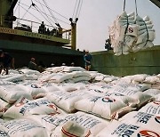베트남산 쌀 수출가격, 지난 9년 만 최고치 기록 경신