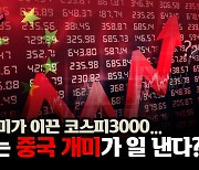 [머니콕] 코스피 3000 올라봐야 5% 수익..유망 투자처 따로있다