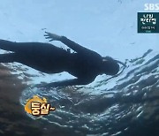 '정글의 법칙' 고준희x찬열, 그랑블루 탐사 성공 '수준급 잠수 실력'