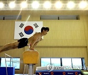 도쿄올림픽 D-200..한국 금메달 7∼8개로 종합 10위 목표