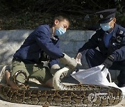 Hong Kong Snake Catcher